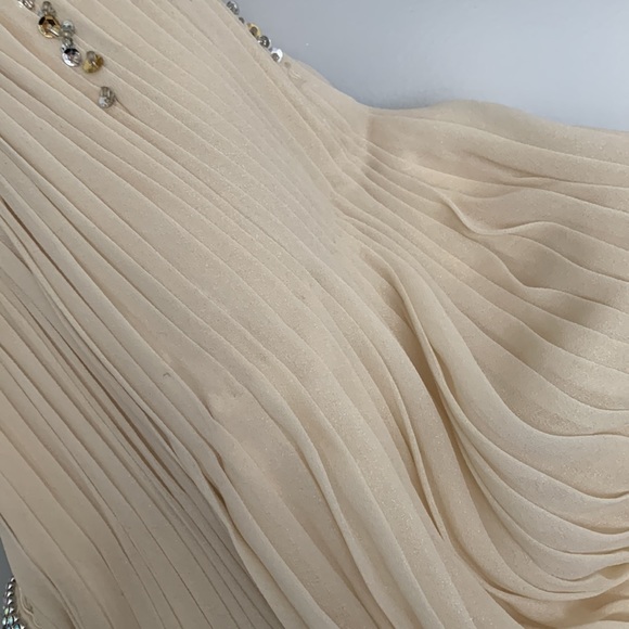 Well groomed gown - Picture 3 of 12